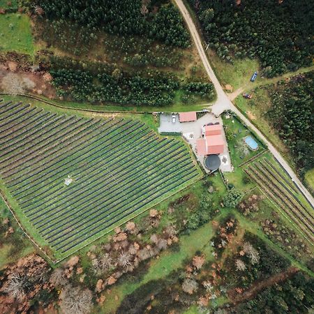 Quinta Vale Salgueiro Lejlighed Seia Eksteriør billede