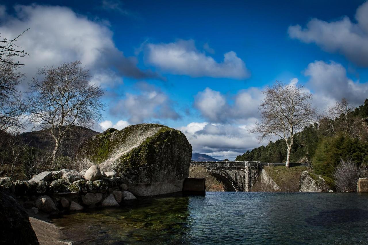 Quinta Vale Salgueiro Lejlighed Seia Eksteriør billede