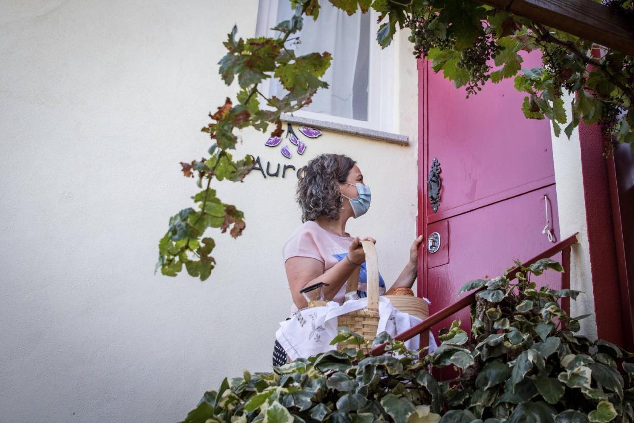 Quinta Vale Salgueiro Lejlighed Seia Eksteriør billede