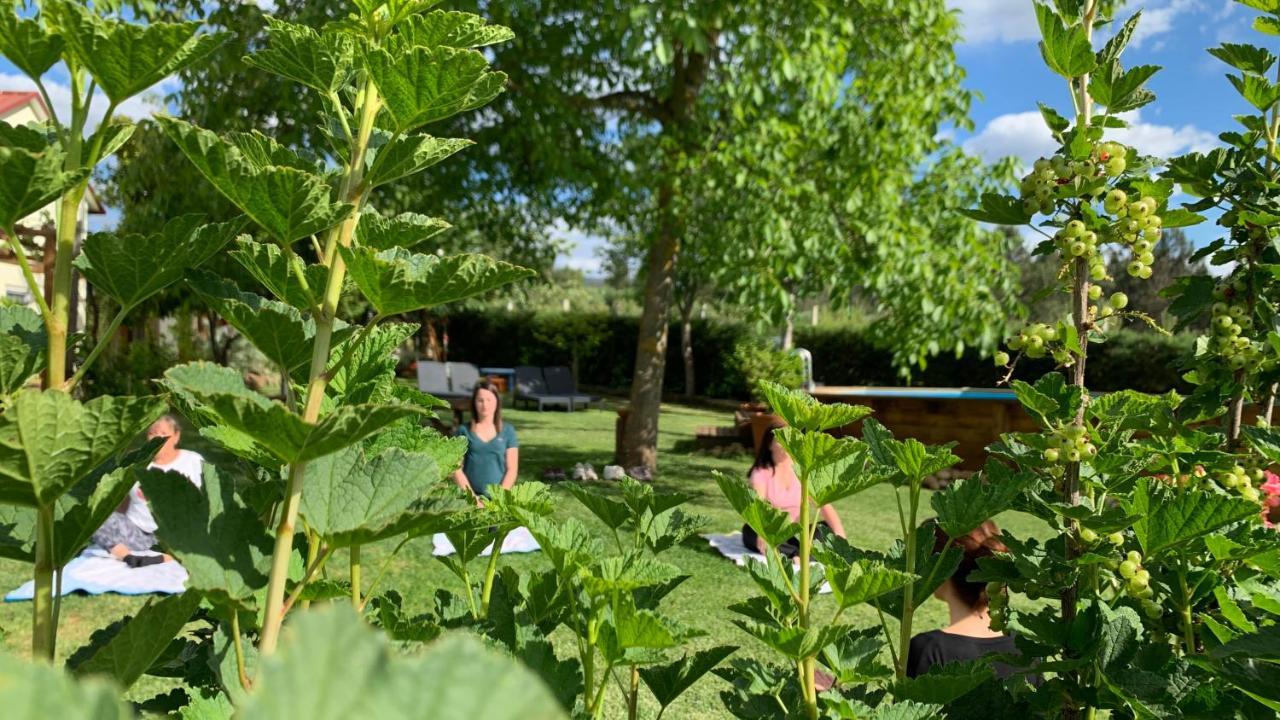 Quinta Vale Salgueiro Lejlighed Seia Eksteriør billede